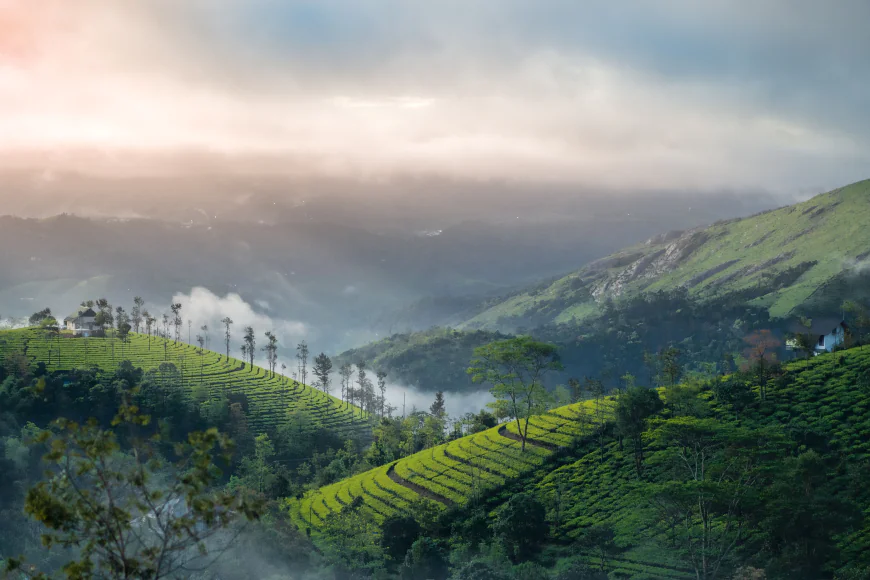Best Time to Visit Kerala for a Honeymoon: Ideal Months & Travel Tips