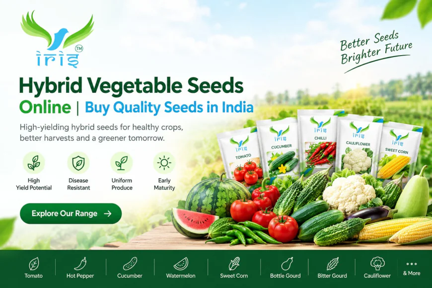 Hybrid Vegetable Seeds Online: What You Need to Know Before You Start