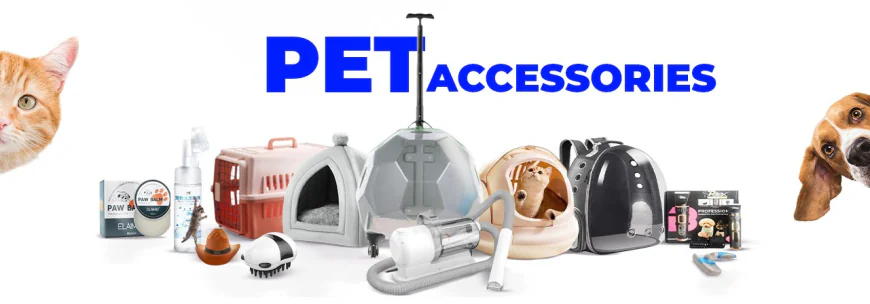 Online Pet Shop Bangladesh: What to Buy in 2026