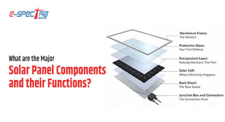 Understanding the 500 Watt Solar Panel Price and Options