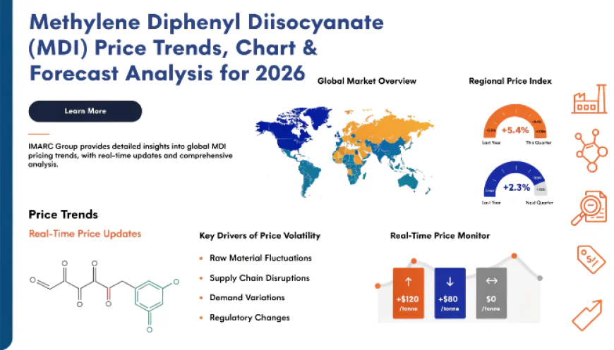 MDI Price Forecast: What to Expect Over the Next 12 Months