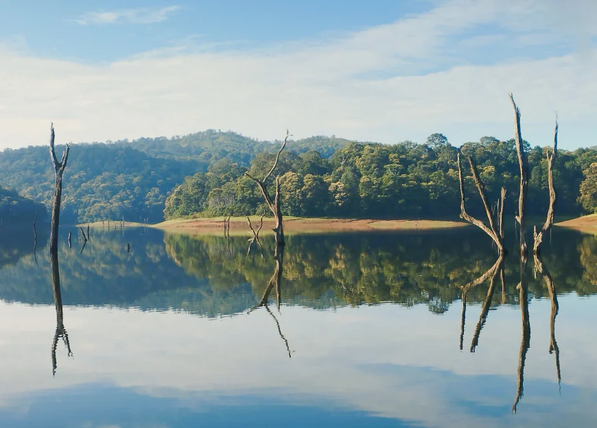 Affordable Kerala Tour Packages for Your Next Vacation