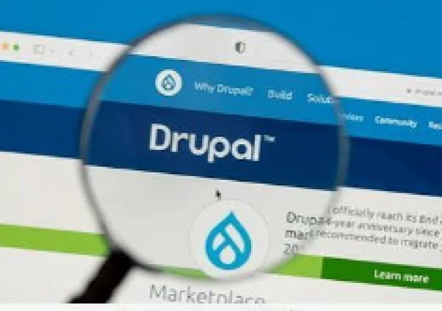 Drupal Development Services-Building Scalable Websites for Growing Businesses