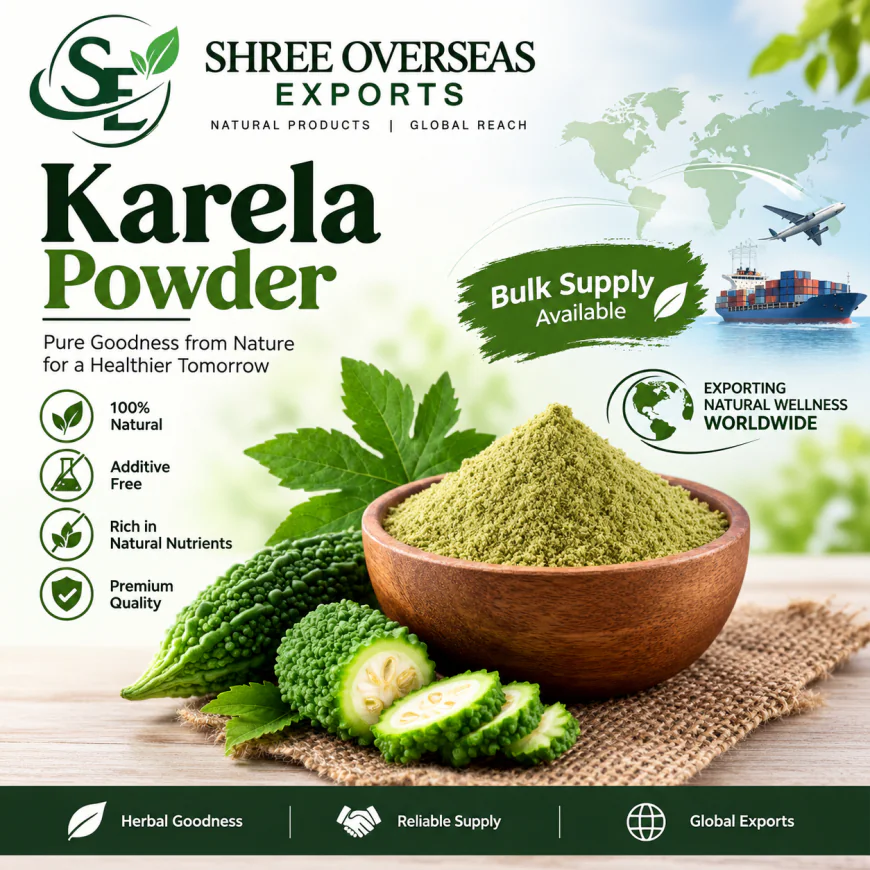 Karela Powder for Nutraceutical Manufacturers: Bulk Supply, Quality Standards and Private Label Solutions
