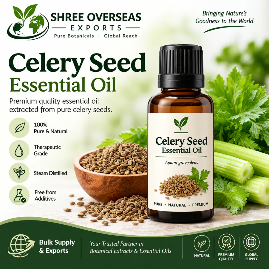Celery Seed Essential Oil for Cosmetic Manufacturers: Bulk Supply and Private Label Solutions