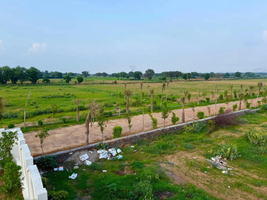 Should You Consider Farmhouse Land in Shahpura?