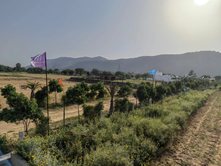 Should You Consider Farmhouse Land in Shahpura?