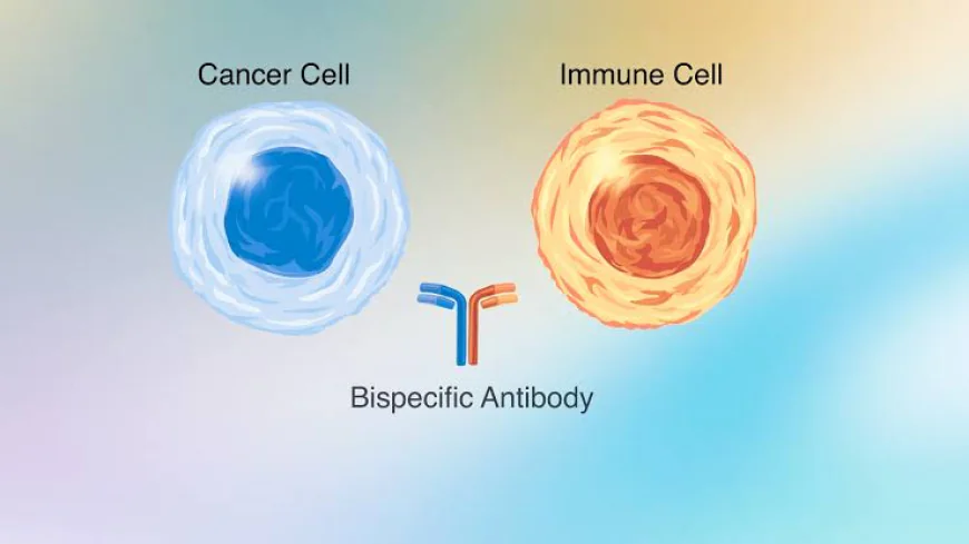 Global Bispecific Antibodies Market Size, Trends, and Growth Opportunities