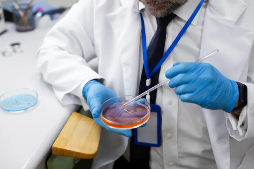 Blastocyst Culture Treatment: What Happens in the IVF Laboratory?