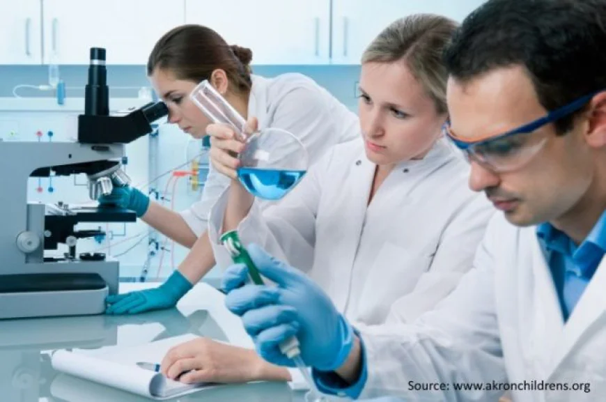 Global Clinical Laboratory Services Market Size, Trends, and Growth Opportunities 2026–2033