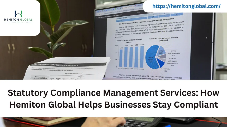 Statutory Compliance Management Services: How Hemiton Global Helps Businesses Stay Compliant