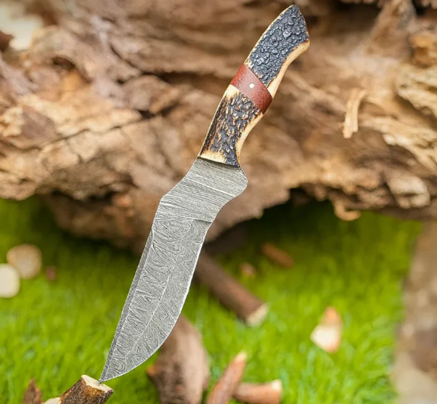 What Makes Bowie Knives a Distinctive Choice for Outdoor Enthusiasts