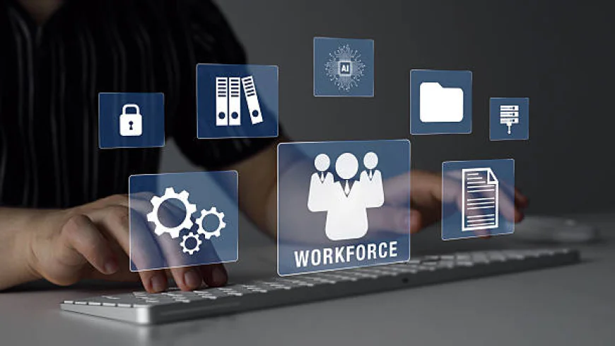 How Can Businesses Improve Workforce Reporting With HR Data