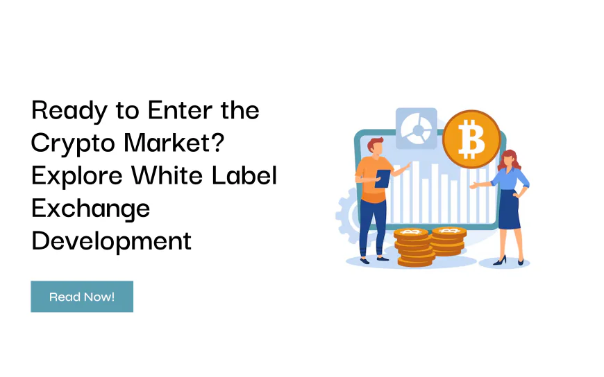 Ready to Enter the Crypto Market? Explore White Label Exchange Development