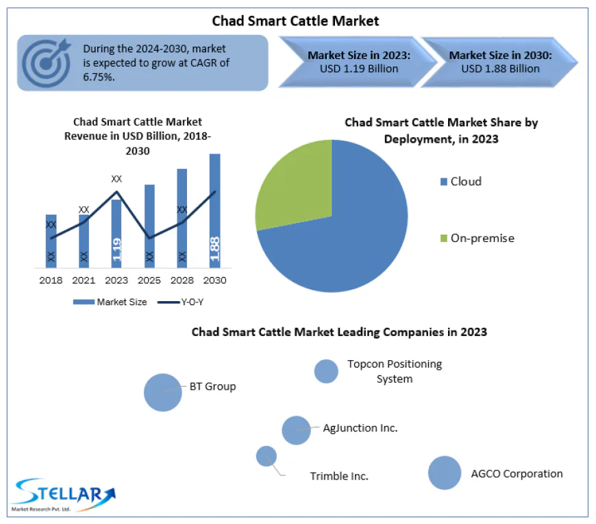 Chad Smart Cattle Market Advances Through IoT-Based Monitoring