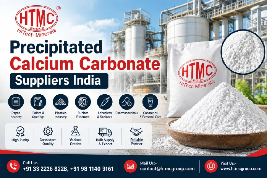 Precipitated Calcium Carbonate Suppliers India: Key Factors for Industrial Buyers