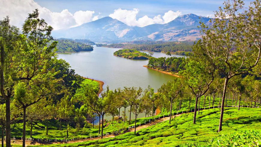 Your Perfect Kerala Hill Holiday: Munnar Tour Packages from Cochin for Scenic Adventures and Romantic Stays
