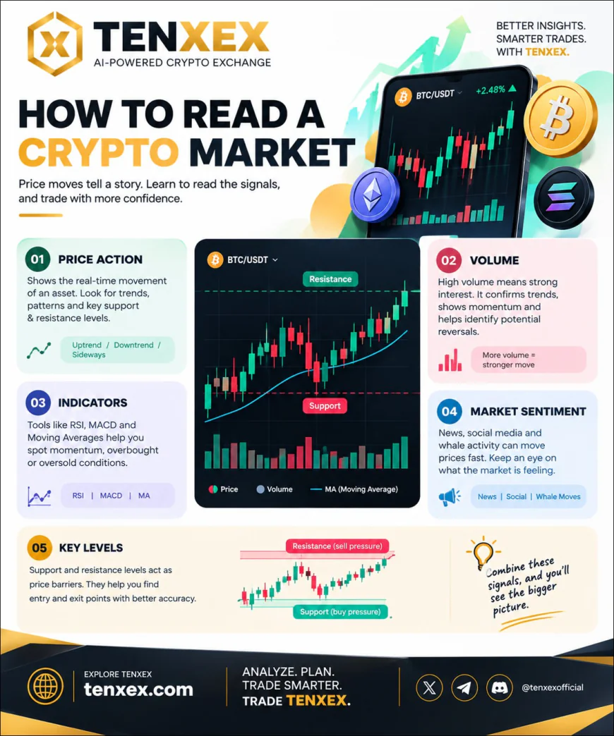 How to Read the Crypto Market Smarter with TENXEX