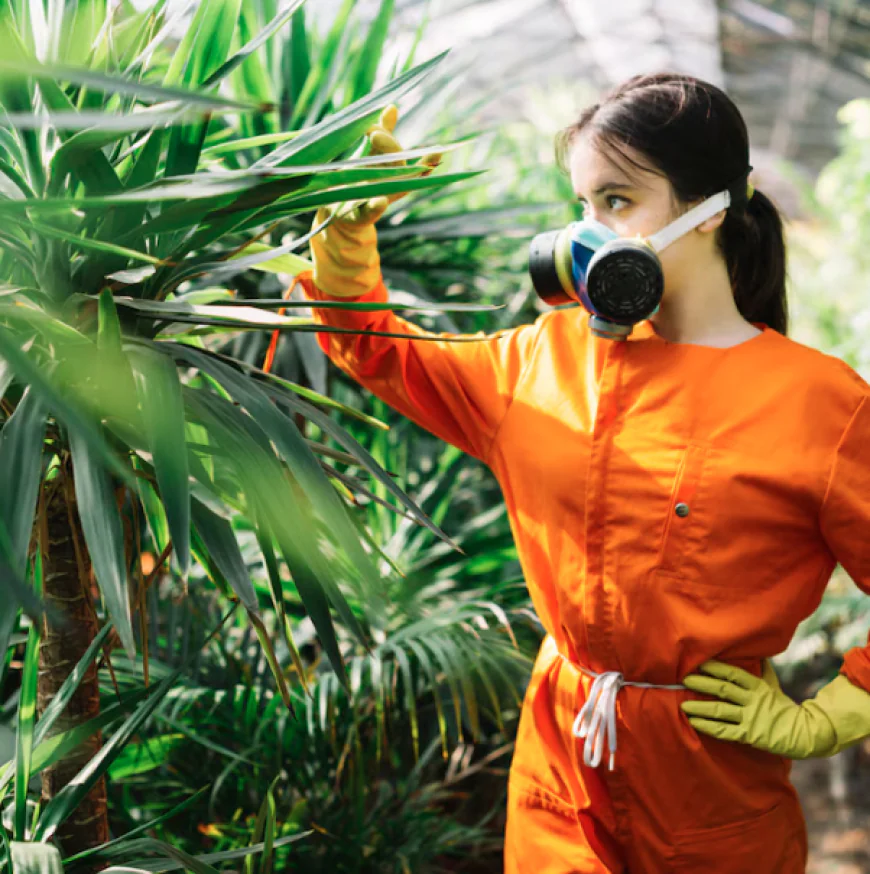 How Do You Choose an Environmentally Friendly Mosquito Control Company?