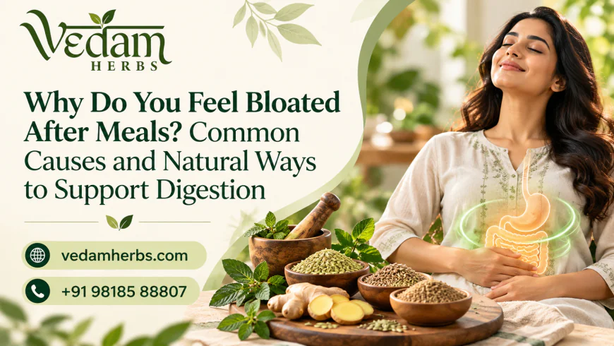 Why Do You Feel Bloated After Meals? Common Causes and Natural Ways to Support Digestion