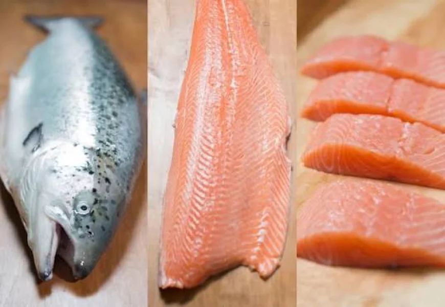 Sixty South Salmon: What Makes Antarctic Salmon Unique?