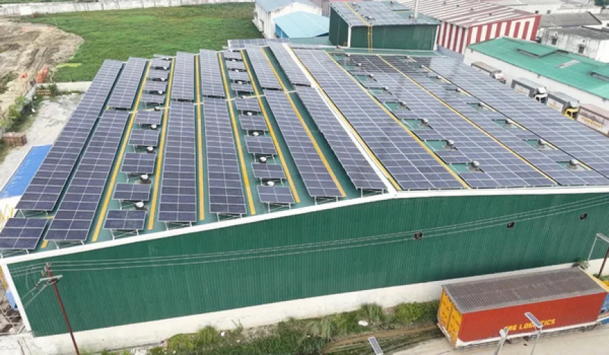 Solar Water Pumps for Home: A Sustainable Solution for Everyday Water Needs