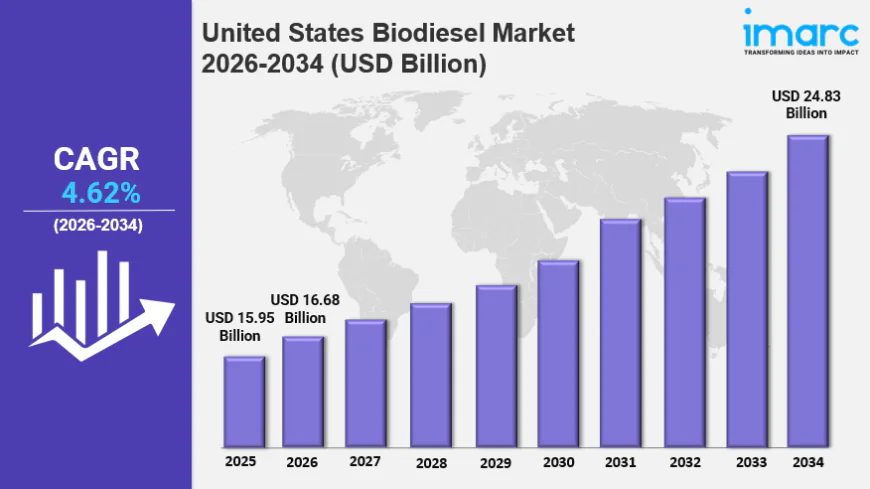United States Biodiesel Market Size, Industry Trends, Share, Growth and Report 2026-2034