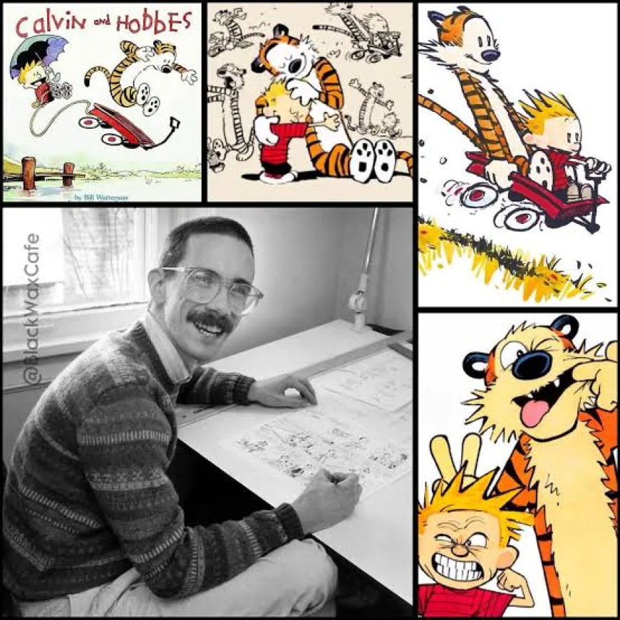 Calvin and Hobbes Search Engine FAQs - Businesspally