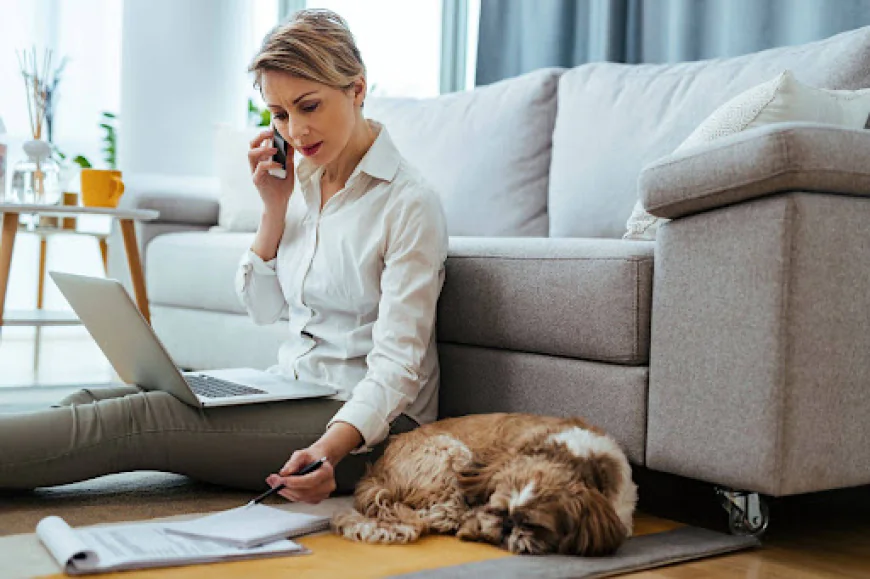 House Call Vet NYC: Services and What to Expect