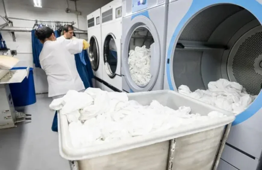 What Are the Benefits of Professional Wash, Dry, and Fold Services?