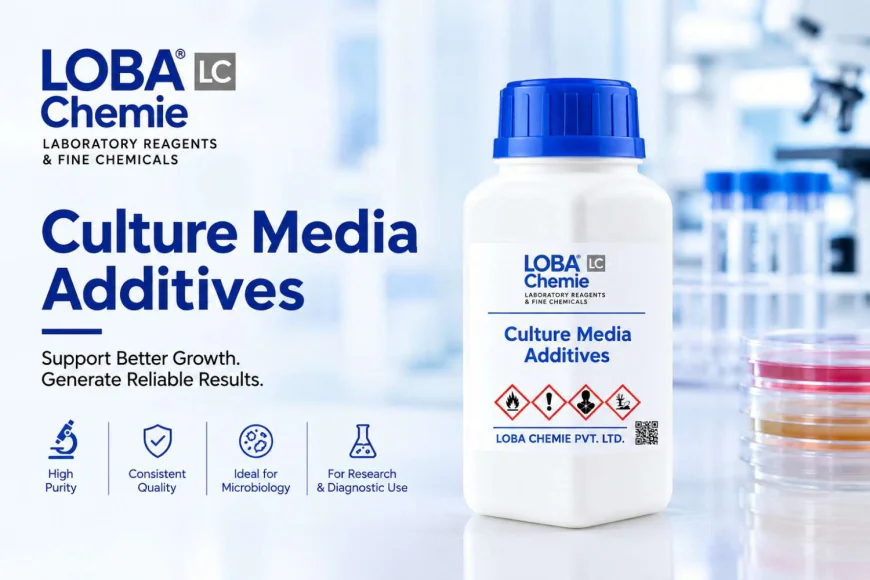 Why Are Beef Extract and Yeast Extract Used in Culture Media?