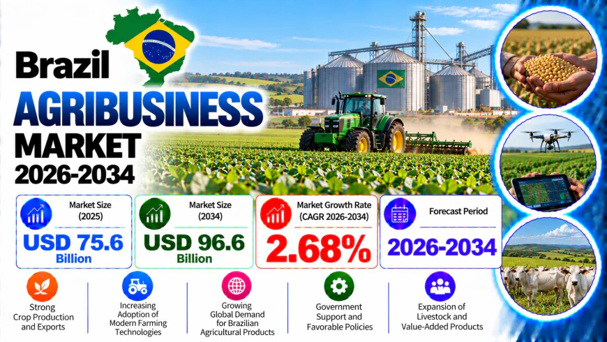 Brazil Agribusiness Market Size, Share, and Growth Analysis 2026-2034