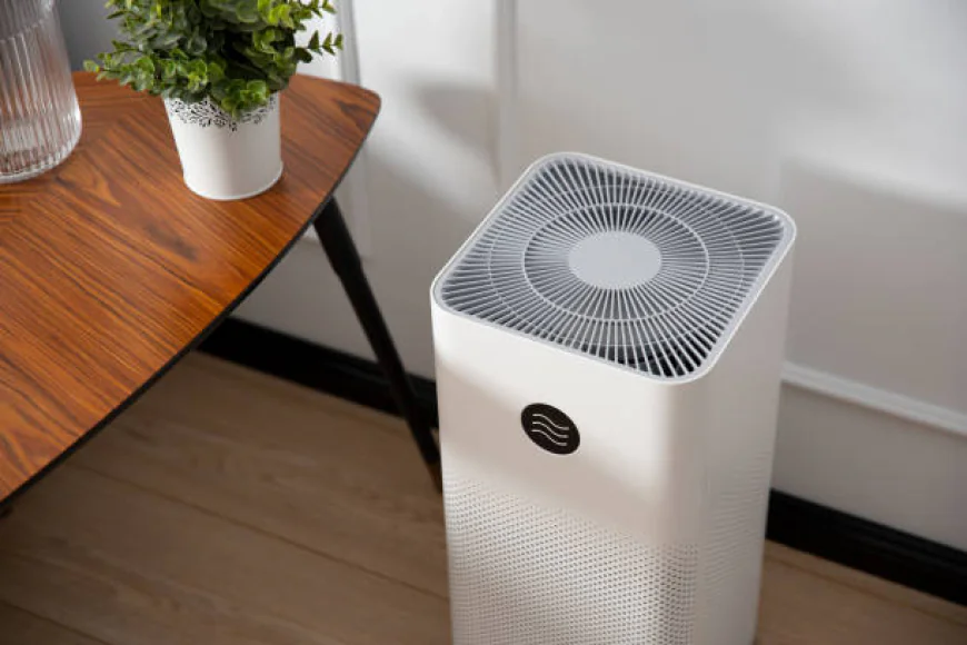 India Air Purifiers Gain Relevance as Indoor Air Quality Concerns Increase