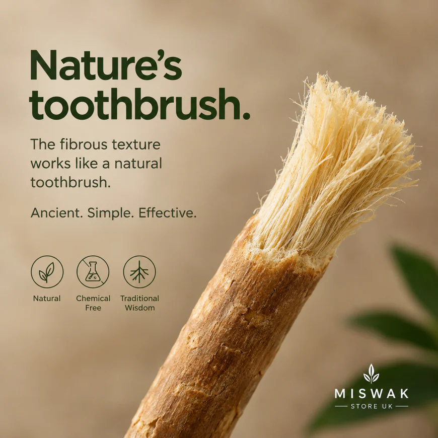 The Ultimate Guide to the Miswak Stick UK: Nature’s Best-Kept Oral Care Secret