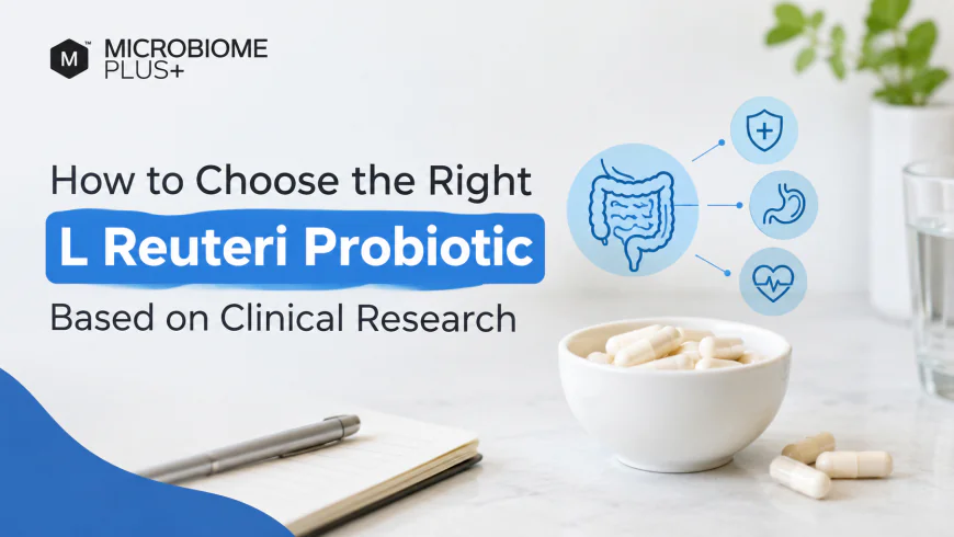 How to Choose the Right L Reuteri Probiotic Based on Clinical Research