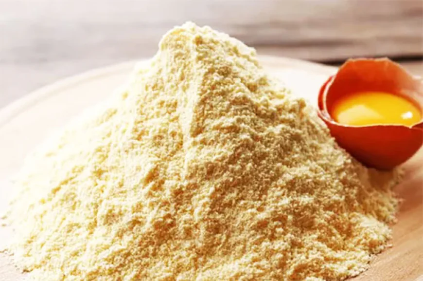 Egg Powder Manufacturing Plant Feasibility Study 2026: Process Details, Revenue Insights and Comprehensive Cost Structure
