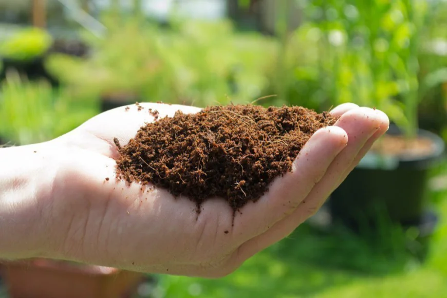 Coco Peat Manufacturing Plant Project Report 2026: CapEx, OpEx and Financial Analysis