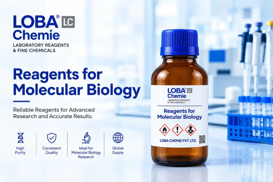 Why Are DNase and RNase Free Reagents Important?