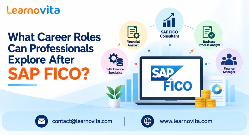 Which Career Paths Can Professionals Choose After SAP FICO?
