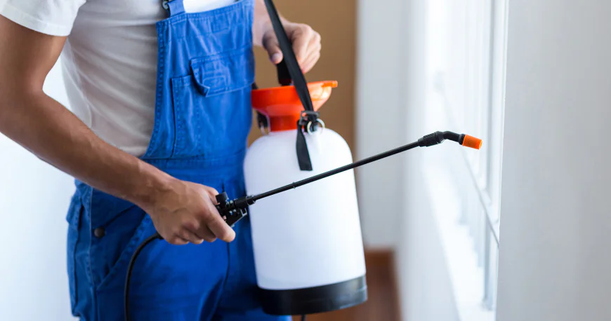 Pest Control Services for a Cleaner, Healthier Property