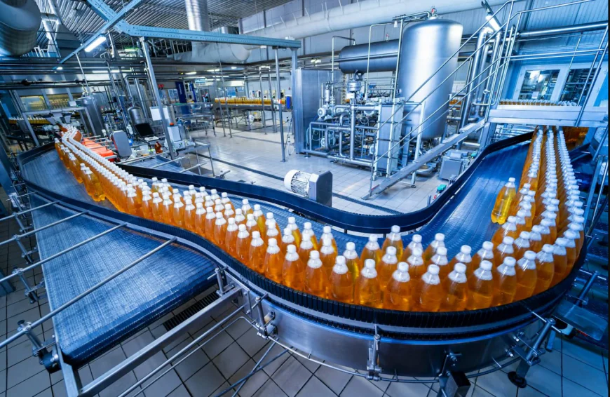 Building a Financial Plan for a Bottled Water Factory