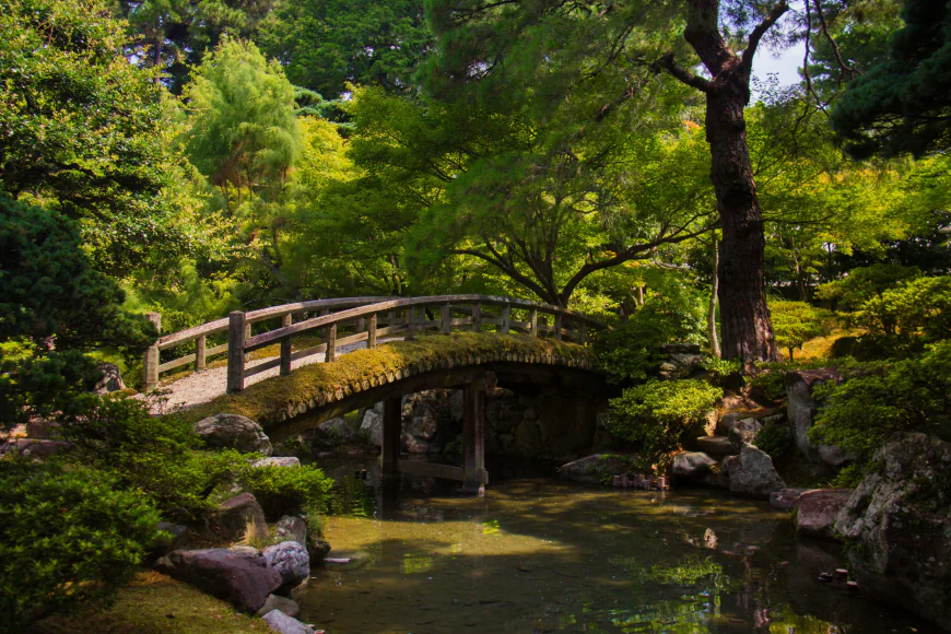 Understanding Mental Wellness and the Value of Psychological Support
