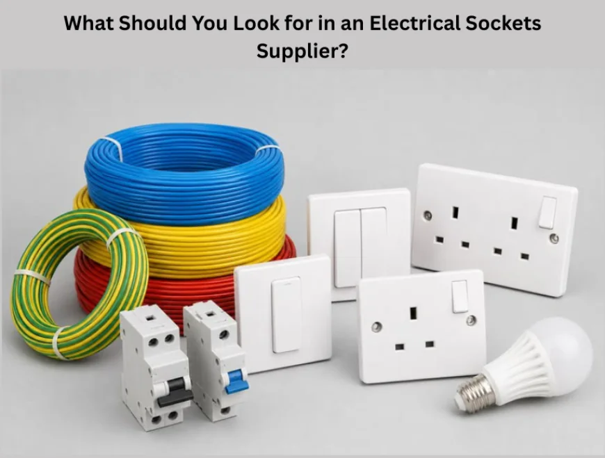 What Should You Look for in an Electrical Sockets Supplier?