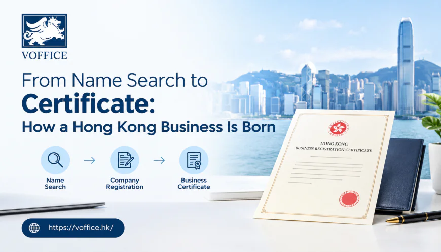 From Name Search to Certificate: How a Hong Kong Business Is Born
