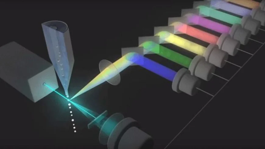 Global Flow Cytometry Market Size, Revenue, Trends, and Forecast 2026-2033