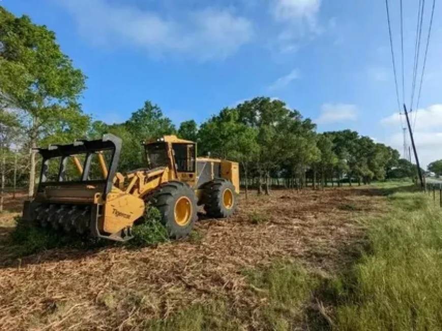 Reliable Land Clearing in Tamaroa, IL for Your Property