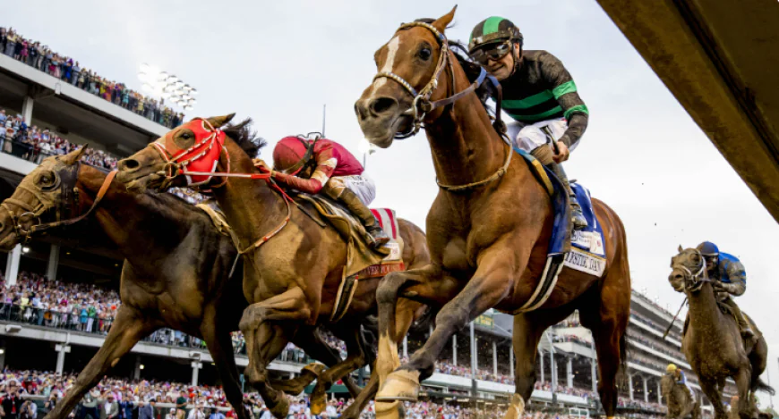 8 Ways a Horse Racing Data Feed Can Support Better Race Analysis