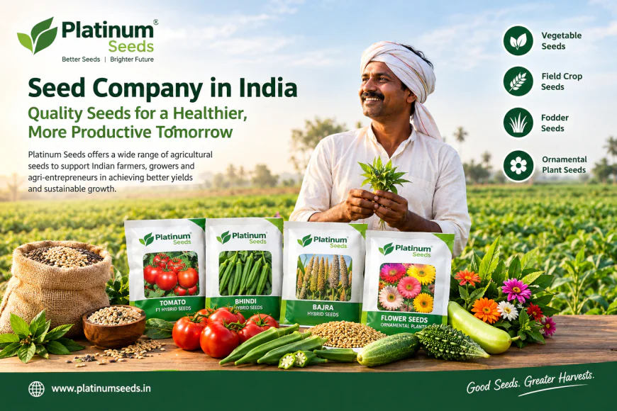 Seed Company in India: Quality Seeds for Modern Agriculture