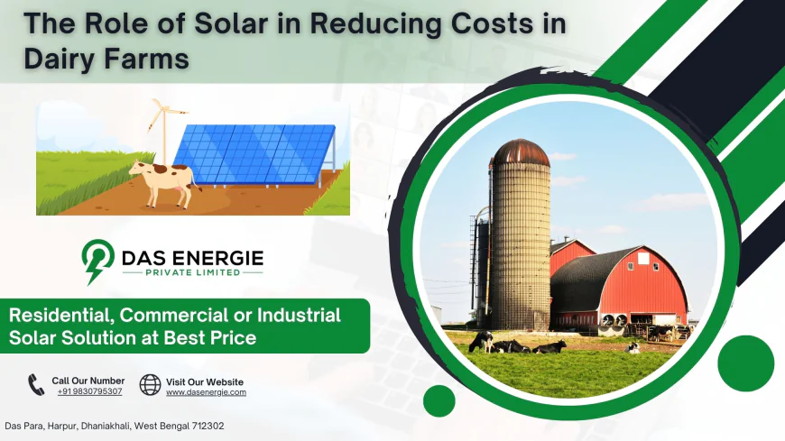 The Role of Solar in Reducing Costs in Dairy Farms