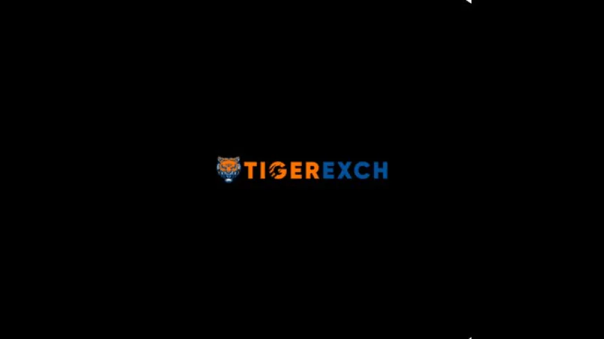 Tiger365 Pro: A Fascinating Guide to Sports History, Records, and Rivalries